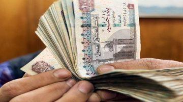 «تقديرًا للجهود المبذولة» مكافآت مالية لأعضاء هيئة التدريس