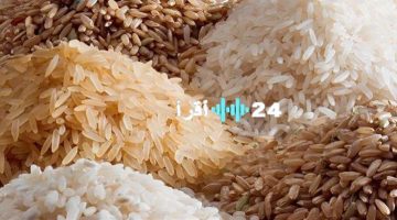 «بعد صعود وهبوط» سعر طن الأرز الشعير اليوم الخميس 4 سبتمبر 2025 في الأسواق المحلية