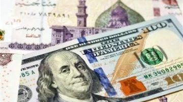 «تذبذب طفيف» سعر الدولار يستقر في البنوك المصرية مطلع تعاملات اليوم الأربعاء