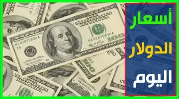 «تذبذب مستمر» سعر الدولار اليوم الأحد في مصر بالبنوك والسوق الموازية: نظرة على تعاملات 14 سبتمبر 2025