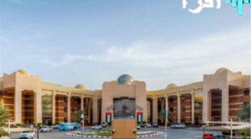 «فرصة أكاديمية» جامعة عجمان تفتح باب التوظيف لأعضاء هيئة التدريس في مختلف الكليات