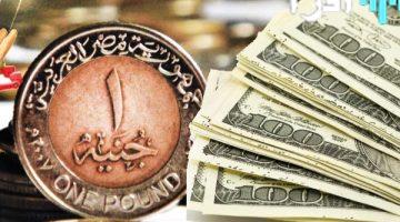 الدولار: آخر تحديثات الأسعار الأحد