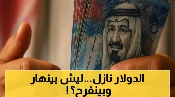 «تراجع طفيف للدولار» البنك المركزي يعلن عن أسعار العملات اليوم.. والريال السعودي يثبت أقدامه