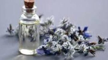 الصيف والأرق علاقة عكسية بخاخ طبيعي يمنحك نومًا هانئًا