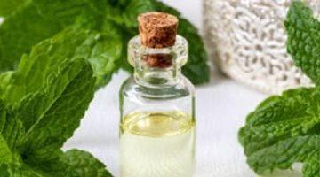 طرق طبيعية للتخلص من حشرات المطبخ.. البصل سلاحك ضد الصراصير