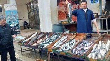 «زيادة في أسعار الكابوريا» أسعار الأسماك تشهد تغييرات في سوق العبور اليوم