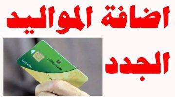 «بشرى سارة للأسر المصرية» إضافة المواليد الجدد إلى بطاقات التموين قريبًا.. تعرف على الموعد والآلية