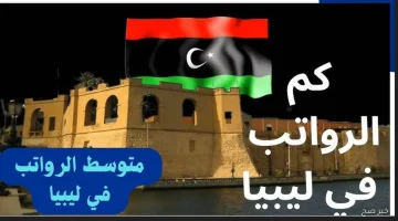 «تحديثات حصرية» سلم الرواتب الجديد في ليبيا 2025 تفاصيل الدرجات الوظيفية وكيفية الاستعلام الفوري عبر منظومة راتبك