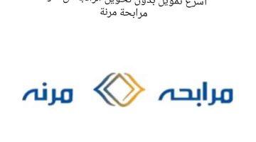 «فرصة لا تعوض!» تمويل ميسر بالتقسيط وبأقل راتب لموظفي كافة القطاعات دون الحاجة لتحويل الراتب