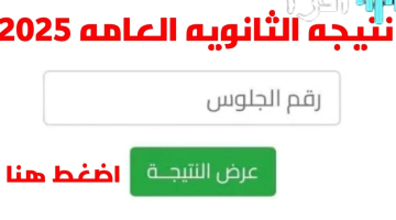 رسميًا رابط نتيجة الشهادة الثانوية ليبيا 2025 الدور الثاني عبر finalresults.nec.gov.ly