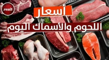 «تراجع طفيف وتوقعات بالاستقرار» أسعار اللحوم اليوم الخميس المفروم البلدي يسجل 460 جنيهًا