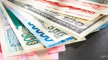 «تذبذب مستمر» أسعار العملات تشهد تغيرات طفيفة اليوم في البنوك المصرية الثلاثاء 2 سبتمبر 2025