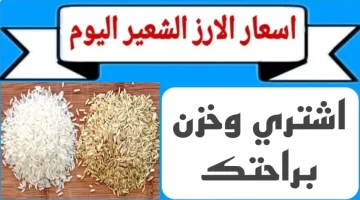 «ضربة البداية» الأسعار الجديدة للأرز الشعير تهز الأسواق مع انطلاق موسم الحصاد اليوم الاثنين 8 سبتمبر 2025