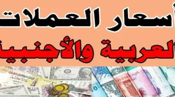 «صعود جنوني» ارتفاع قياسي لأسعار العملات في السوق السوداء المصرية اليوم الأحد 14 سبتمبر 2025 مع نهاية التداولات