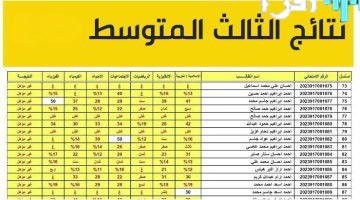 «عاجل» نتائج الثالث المتوسط 2025 الدور الثاني متاحة الآن عبر موقع نتائجنا PDF لجميع المحافظات برابط مباشر