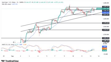 «بريق المعدن الأصفر يتألق» أسعار الذهب تحلق مدفوعة بآمال المستثمرين