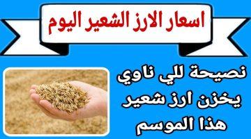 «توازن في الأسواق» سعر الأرز الشعير يحافظ على استقراره في مصر عام 2025 رغم وفرة المعروض