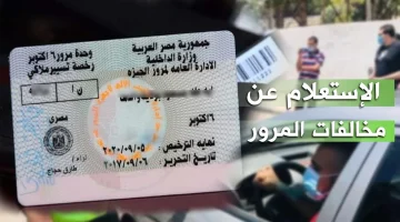«تسهيلًا على المواطنين».. استعلام فوري عن مخالفات المرور 2025 عبر الإنترنت برقم اللوحة
