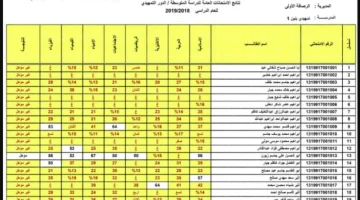 إعلان نتائج الثالث المتوسط الدور الثاني 2025 بالاسم والرقم الامتحاني عبر موقع نتائجنا.. رابط PDF رسمي