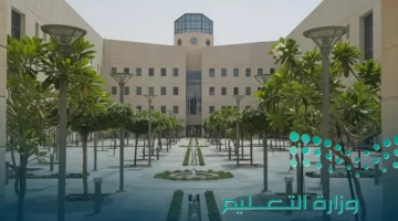 «تحسبًا للتقلبات الجوية» تعليق الدراسة الحضورية وتحويلها عن بعد في المدارس والجامعات غدًا بناءً على توجيهات الأرصاد