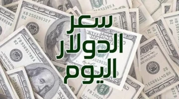 «تذبذب مستمر» سعر الدولار يراوح مكانه في السوق السوداء والبنوك المصرية الأربعاء 3 سبتمبر 2025