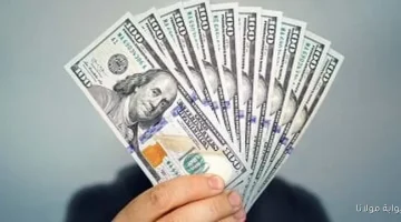 الدولار يستقر في البنك المركزي المصري الأربعاء 24 سبتمبر 2025