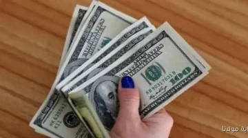 «تذبذب مستمر» سعر الدولار في البنوك المصرية الأربعاء 10 سبتمبر 2025