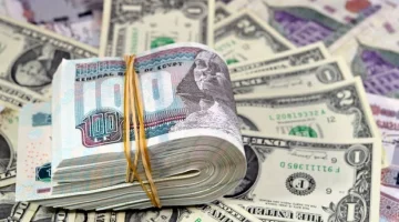 «ثبات نسبي» سعر الدولار في مصر اليوم الخميس 25 سبتمبر 2025 والجنيه يحافظ على تماسكه