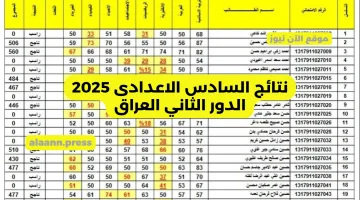 «عاجل» موقع نتائجنا يكشف رابط نتائج السادس الإعدادي 2024 الدور الثاني بغداد نينوى الكرخ الرصافة الأنبار ومحافظات العراق كافة