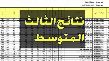 «عاجل» موقع نتائجنا يكشف نتائج الثالث المتوسط الدور الثاني 2025 تنزيل كشوفات PDF بالاسم ورقم الجلوس