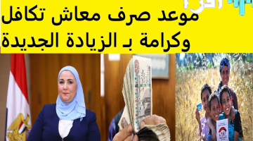 «بأثر فوري» تكافل وكرامة 2025 استعلم برقمك القومي الآن.. تفاصيل حصرية من الاقتصادي نيوز