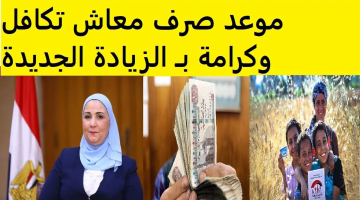 «الآن يمكنك التحقق» رابط مفعل استعلام عن معاش تكافل وكرامة بالرقم القومي 2025 عبر moss.gov.eg وشروط القبول