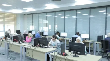 رسميًا نتيجة تنسيق الدبلومات الفنية 2025.. رابط وخطوات تسجيل الرغبات عبر موقع التنسيق