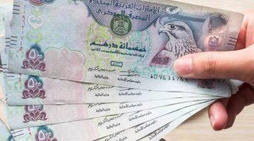 «استقرار نسبي» الدرهم الإماراتي يحافظ على مستوياته أمام الجنيه المصري في تعاملات البنوك صباح الاثنين