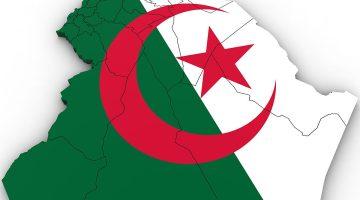 «الفرصة موجودة».. تجديد منحة البطالة 2025 في الجزائر عبر موقع الوكالة الوطنية للتشغيل لتجنب المشكلات