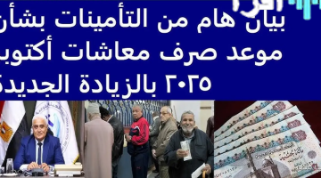 «ترقبوا» معاشات أكتوبر 2025.. هكذا تستعلم برقمك القومي من التأمينات