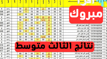 إعلان نتائج الثالث المتوسط الدور الثاني 2025 عبر موقع وزارة التربية العراقية برابط مباشر epedu.gov.iq