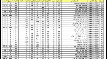 «ترقبوا لحظة الحقيقة» نتائج السادس الإعدادي 2025 الدور الثاني قيد الإعلان.. إليكم طريقة الاستعلام