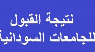 «بأقل مجهود».. دليل شامل للاستعلام عن نتائج القبول بالجامعات السودانية 2025 إلكترونيًا