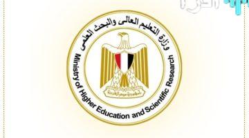 وزارة التعليم العالي تعلن عن جامعات متخصصة جديدة ومنصات للمنح الدراسية 2025
