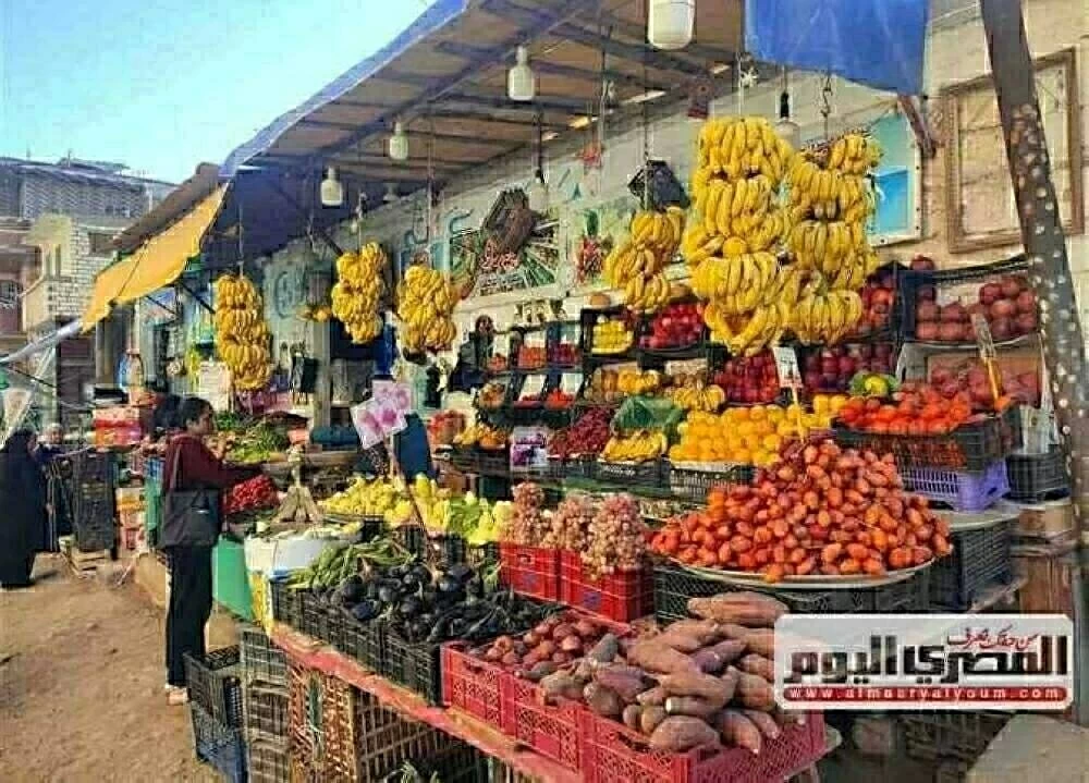 أحدث أسعار الطماطم والبرتقال والفاكهة في أسواق الشرقية الثلاثاء 25 نوفمبر 2025