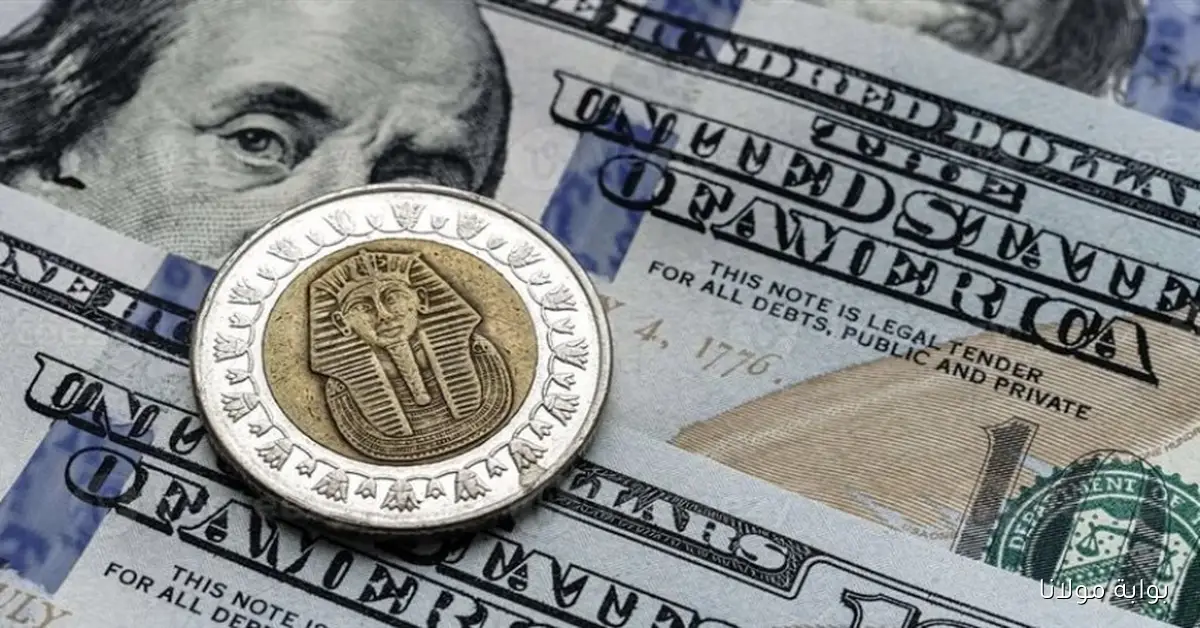 تراجع غير متوقع في سعر الدينار الأردني مقابل الجنيه المصري في البنوك والمصرف المركزي