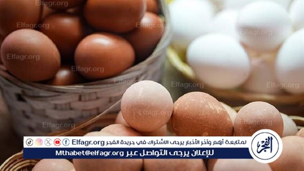 تحديث أسعار كرتونة البيض في بورصة الدواجن وأسواق المنيا اليوم الأربعاء 26 نوفمبر 2025
