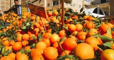 «فاكهة الشتاء تعم أسواق الأقصر بأسعار معقولة تناسب الجميع»