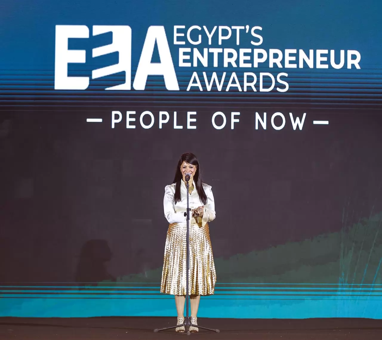 «تعزيز ريادة الأعمال: المجموعة الوزارية تبذل جهودًا لتجاوز التحديات»