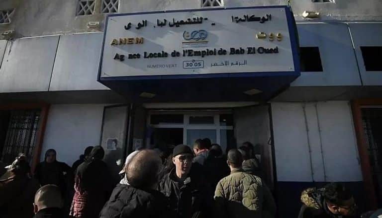 «تعرّف على خطوات تجديد منحة البطالة في الجزائر 2025 والشروط اللازمة»