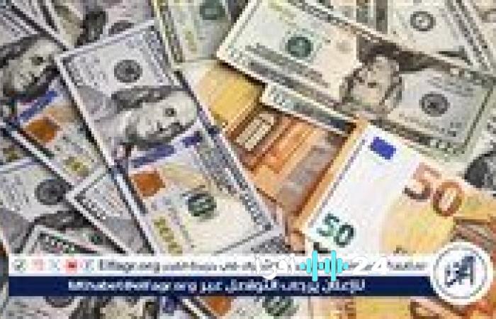 «تحديثات أسعار العملات الأجنبية مقابل الجنيه المصري لليوم الاثنين 24 نوفمبر 2025»