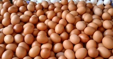 «أسعار البيض في كفر الشيخ تتألق: البيضة البلدي تسجل 4.5 جنيه»