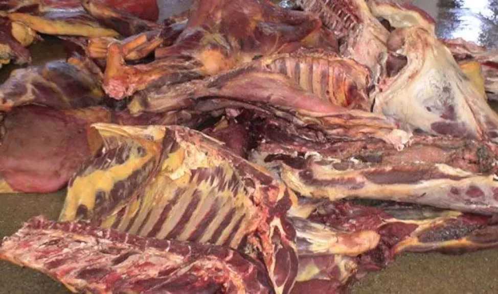 ضبط لحوم فاسدة وعطور مجهولة المصدر خلال حملة ميدانية مكثفة في جدة