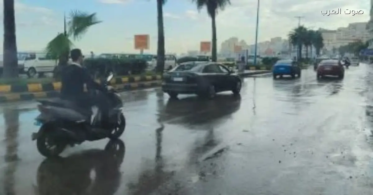 تحذيرات من الأرصاد بشأن أمطار غزيرة وبرد صباحي يؤثر على شمال البلاد والوجه البحري